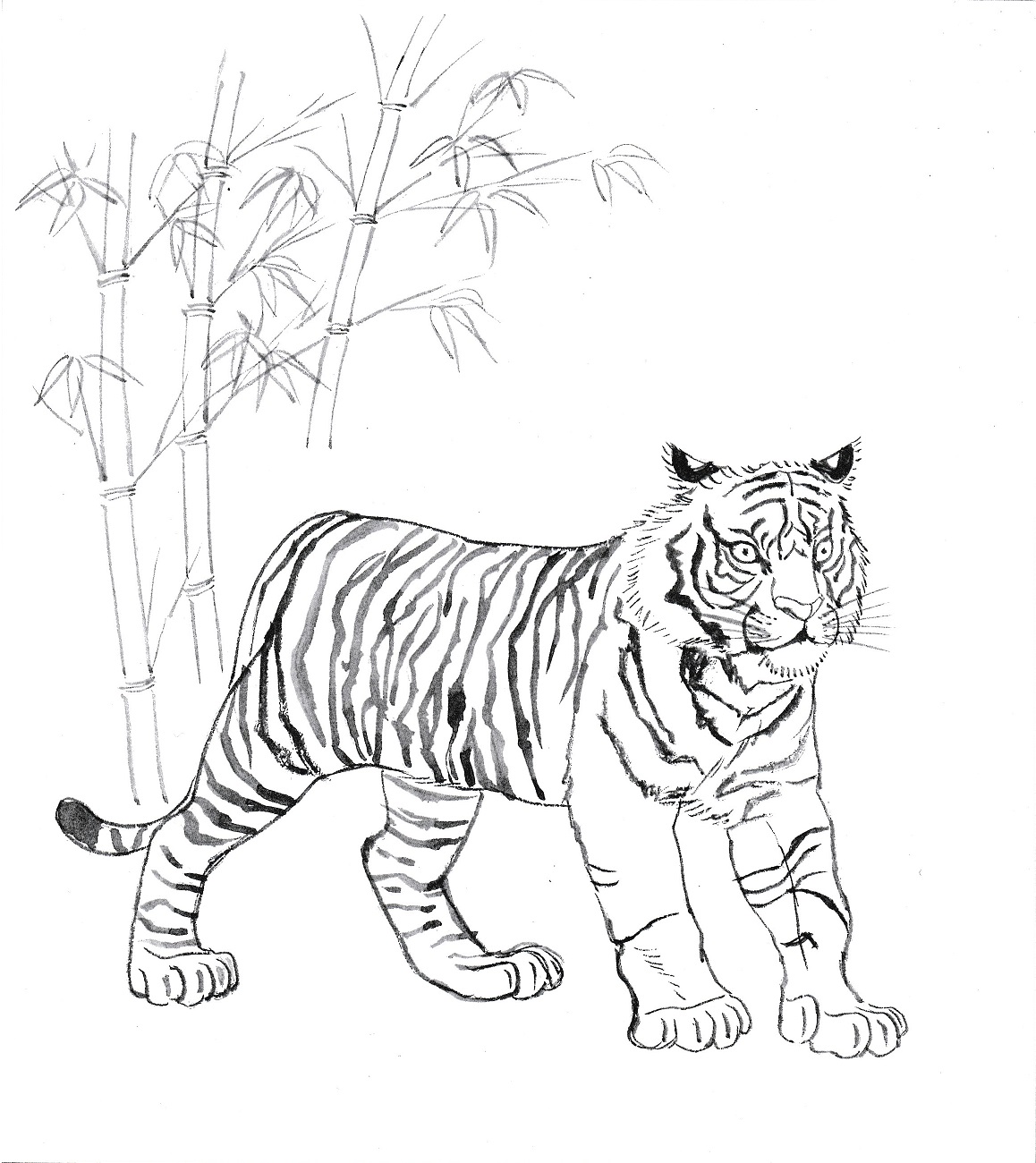 虎の色紙塗り絵